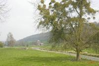 Cjp_2010_04_15_112359 (2).jpg